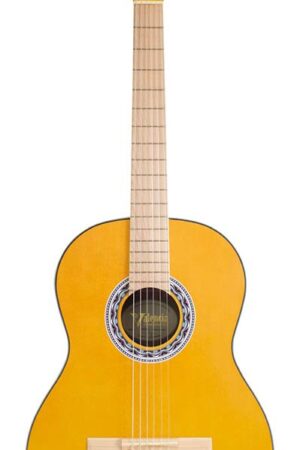 Valencia Klassieke Gitaar 4/4 Zwart