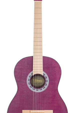Valencia Klassieke Gitaar 4/4 Zwart